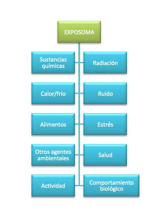 Exposoma