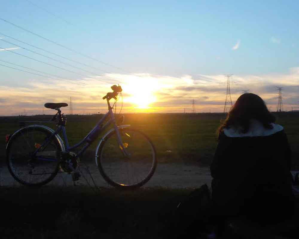 Bicicleta puesta de sol