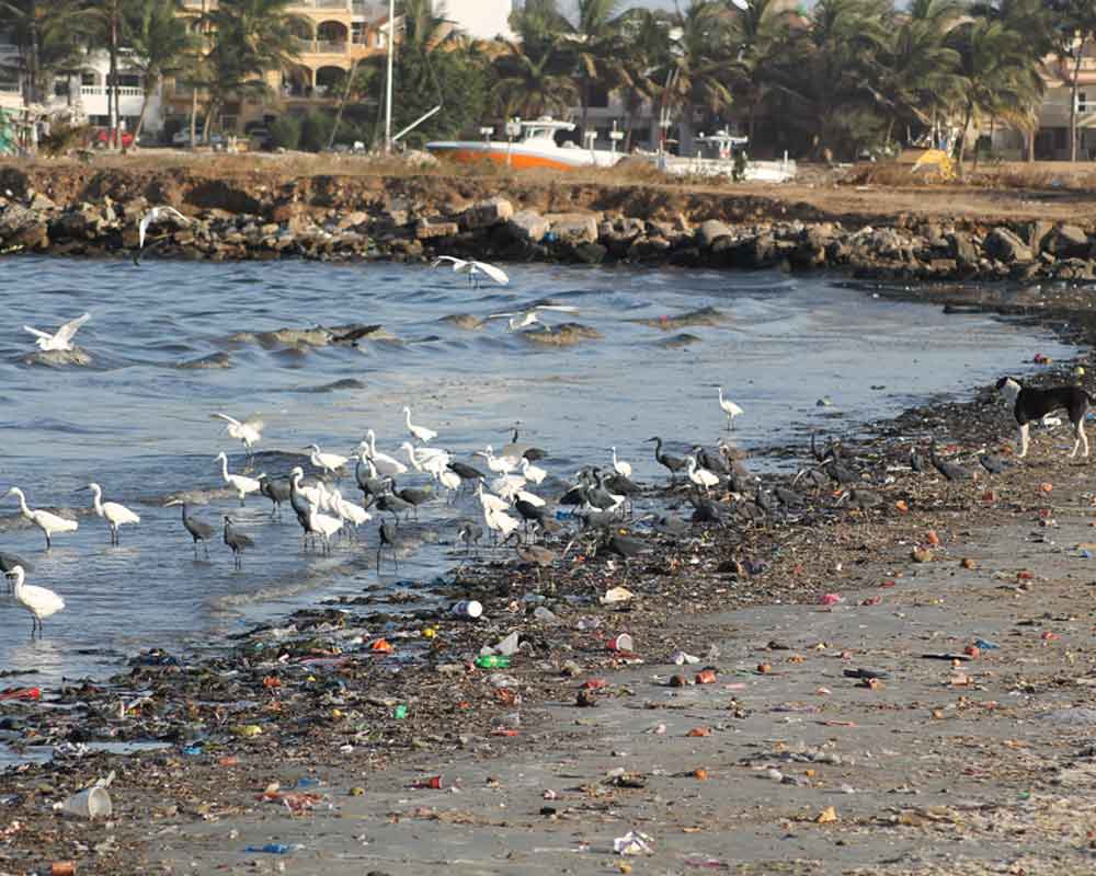 Bahía Hann Dakar