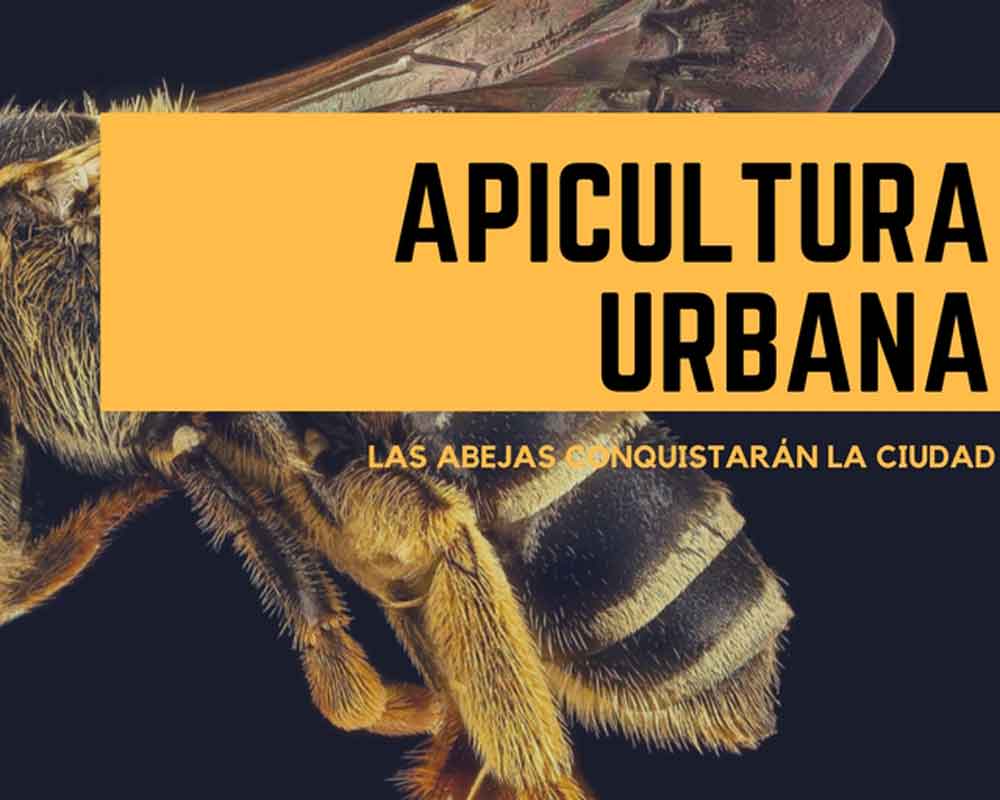 Cartel de apicultura urbana