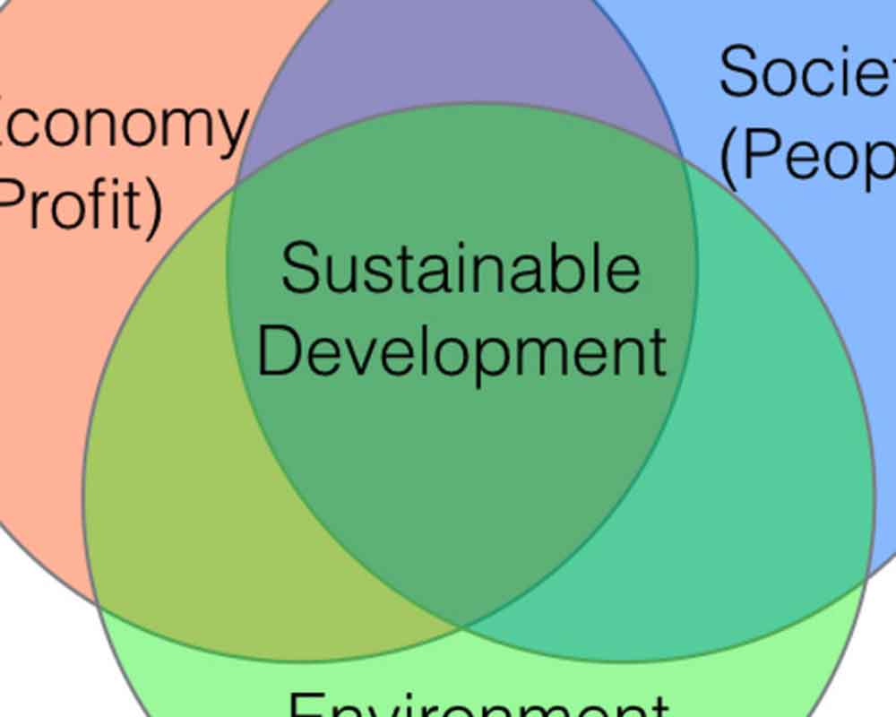 Desarrollo sostenible