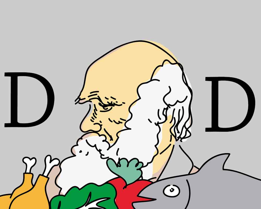 Dieta Darwin