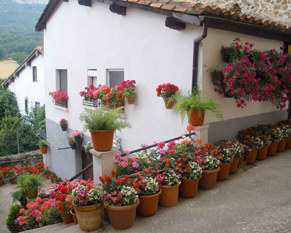 Casa con flores