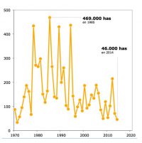 Indicador superficie afectada por los incendios forestales