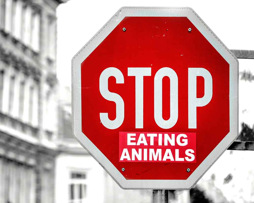 Señalización: stop eating animals