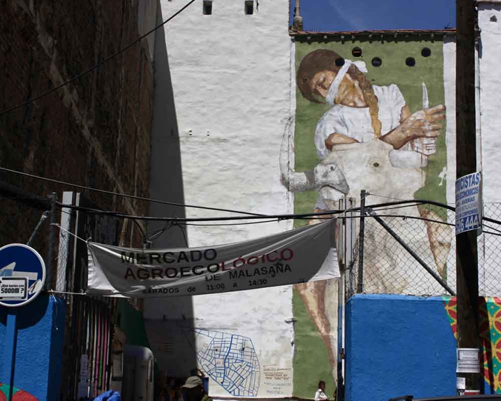 Mercado Agroecológico de Malasaña, Alice Cognez